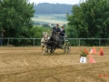 fahrturnier-2011-149-klein