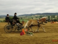 fahrturnier-2011-165-klein