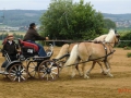 fahrturnier-2011-167-klein