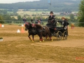 fahrturnier-2011-176-klein