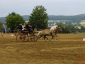 fahrturnier-2011-219-klein