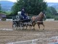 fahrturnier-2011-46-klein