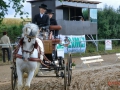 fahrturnier-2011-50-klein