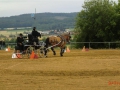 fahrturnier-2011-78-klein