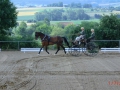 fahrturnier-2011-8-klein