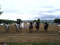 dturnier2012-123