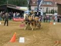 fahrturnier-2011-152-klein