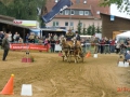 fahrturnier-2011-157-klein