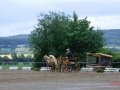 fahrturnier-2011-39-klein
