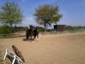 img_20111003_120704-web