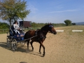 img_20111003_121344-web